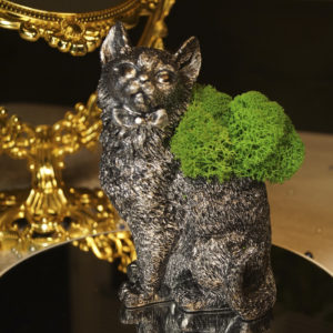 Кот-серебристый